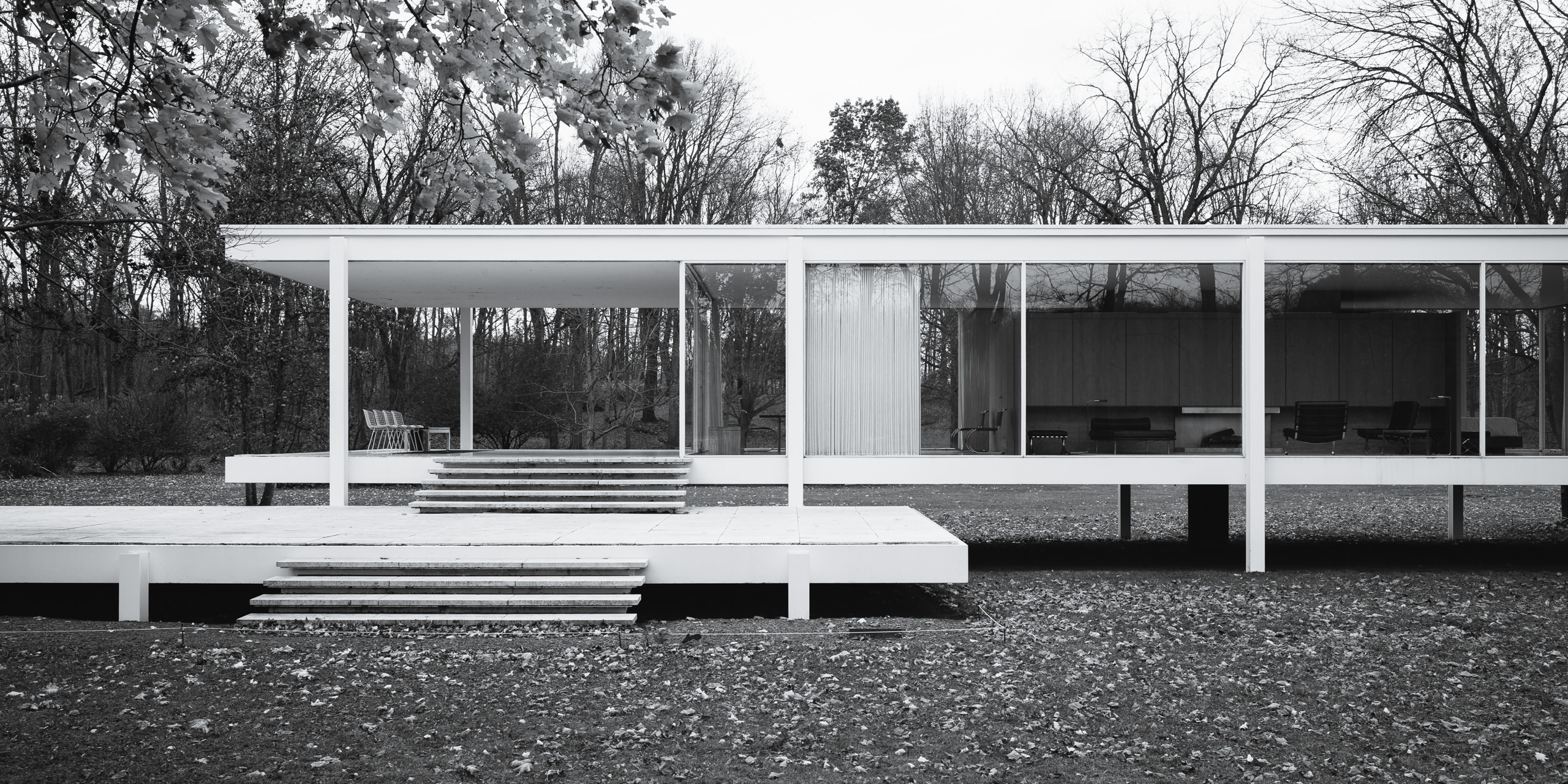 Front-view of the Farnsworth House, with leaves on the ground.